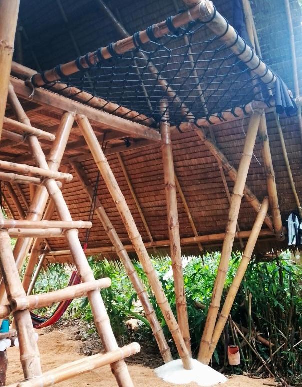 Ecocio Jungle Hostel コロン エクステリア 写真