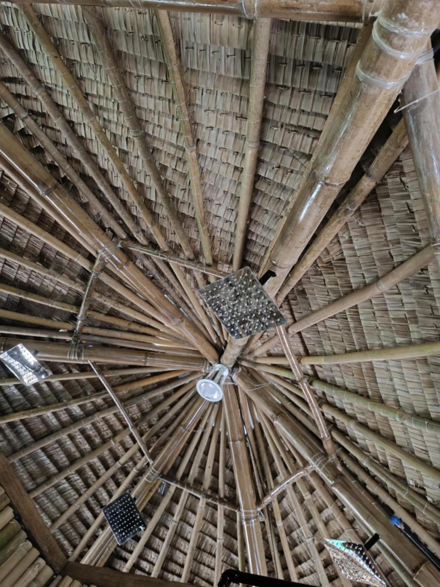 Ecocio Jungle Hostel コロン エクステリア 写真