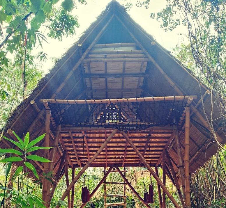 Ecocio Jungle Hostel コロン 部屋 写真