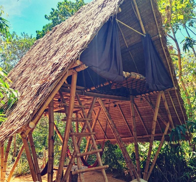 Ecocio Jungle Hostel コロン 部屋 写真