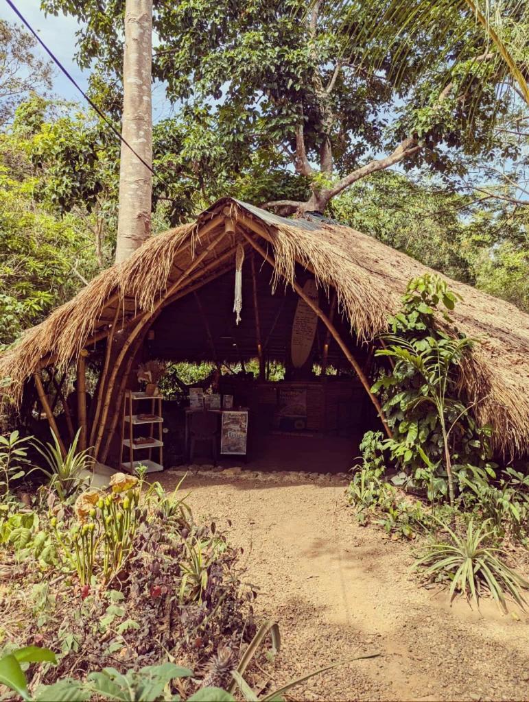 Ecocio Jungle Hostel コロン エクステリア 写真